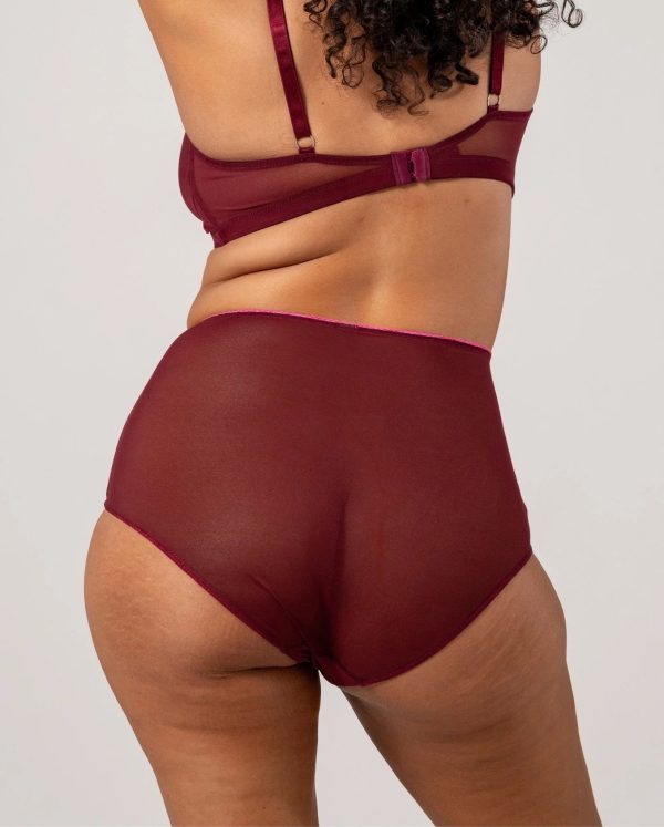 Understatement Underwear - Mesh Highwaist Briefs - Burgundy Neon Pink Online now